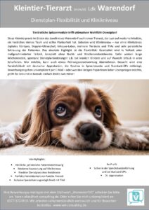 Warendorf Job Tierarzt