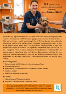Düren Köln TFA Job