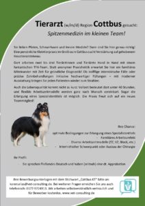 Baden Tierarzt Job Cottbus Job Tierarzt